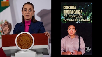 Sheinbaum confía en que Godoy