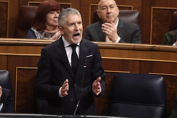 El ministro del Interior, Fernando