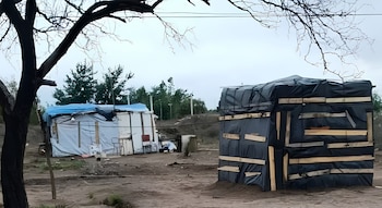 Dos viviendas improvisadas con lonas plásticas y tablas de madera sobre un terreno de tierra con ramas en el encuadre