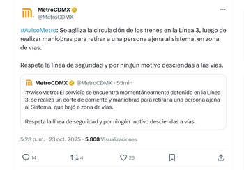(X/ @MetroCDMX)