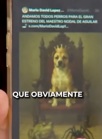 (TikTok: @imagenentretenimientotv)