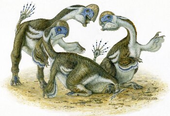 07/10/2020 Tres dinosaurios Oksoko avarsan
POLITICA