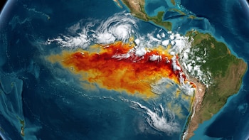 Nueva advertencia científica sobre El Niño: crecen los impactos extremos en cultivos, rutas marítimas y la pesca