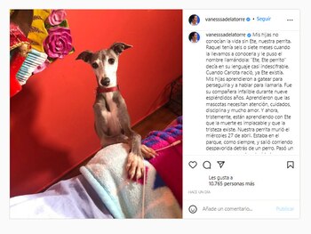 Vanessa de la Torre se