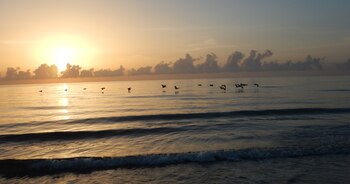 Nathaniel P. Reed Hobe Sound