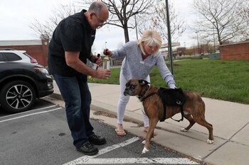 Soda hace las entregas en