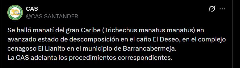 Autoridades ambientales investigan las causas de la muerte del manatí, con hipótesis centradas en contaminación, sedimentación y pérdida de conectividad hídrica - crédito @CAS_SANTANDER / X