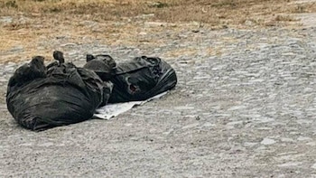 Restos humanos hallados en Nuevo