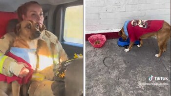 Pepe, el perrito bombero de