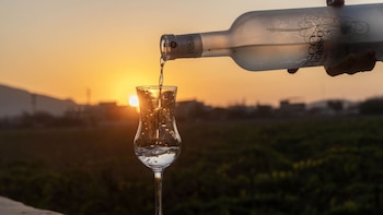 Exportaciones de pisco cayeron por