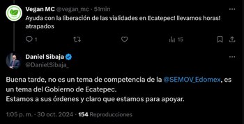 El titular de la Semovi