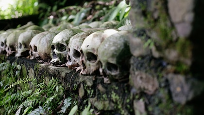 El perturbador ritual funerario de una aldea de Indonesia: cómo es “la selva de los muertos”
