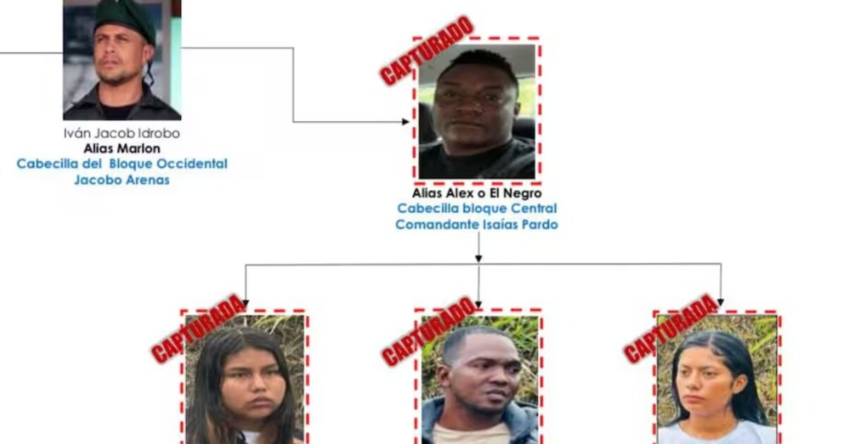 Foi uma operação de três meses em Young Mordisco, líderes juvenis da Universidade de Bodisco, Hulzco em Hulzco Foi uma operação de três meses em Young Mordisco, líderes juvenis da Universidade de Bodisco, Hulzco em Hulzco