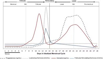Los niveles hormonales cambian a lo largo del ciclo menstrual (Scientific Reports, 2018)
