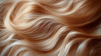 (Imagen Ilustrativa Infobae)