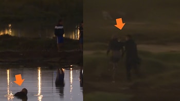 El intento de fuga terminó