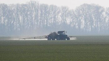 La empresa nacional que invierte