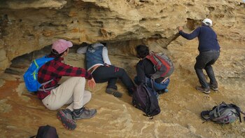 El equipo de investigadores estudiando