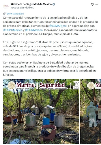 (X @GabSeguridadMX)