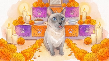 ¿Cuándo se pone la ofrenda de Día de Muertos para mascotas y qué elementos debe llevar?