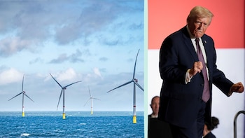 Donald Trump suspende el mayor