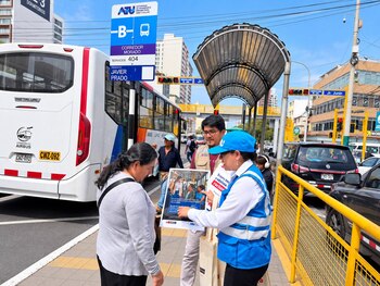 El estudio también revela las preferencias de los pasajeros en cuanto a contenidos.