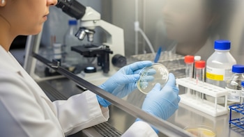 Suspendieron a un laboratorio que elaboraba productos para el tratamiento de alergias por reiterados incumplimientos