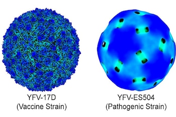 Las variaciones en la superficie