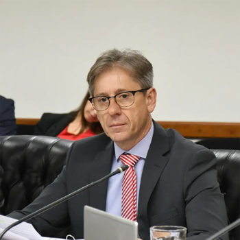 El jefe del bloque radical en el Senado, Eduardo Vischi