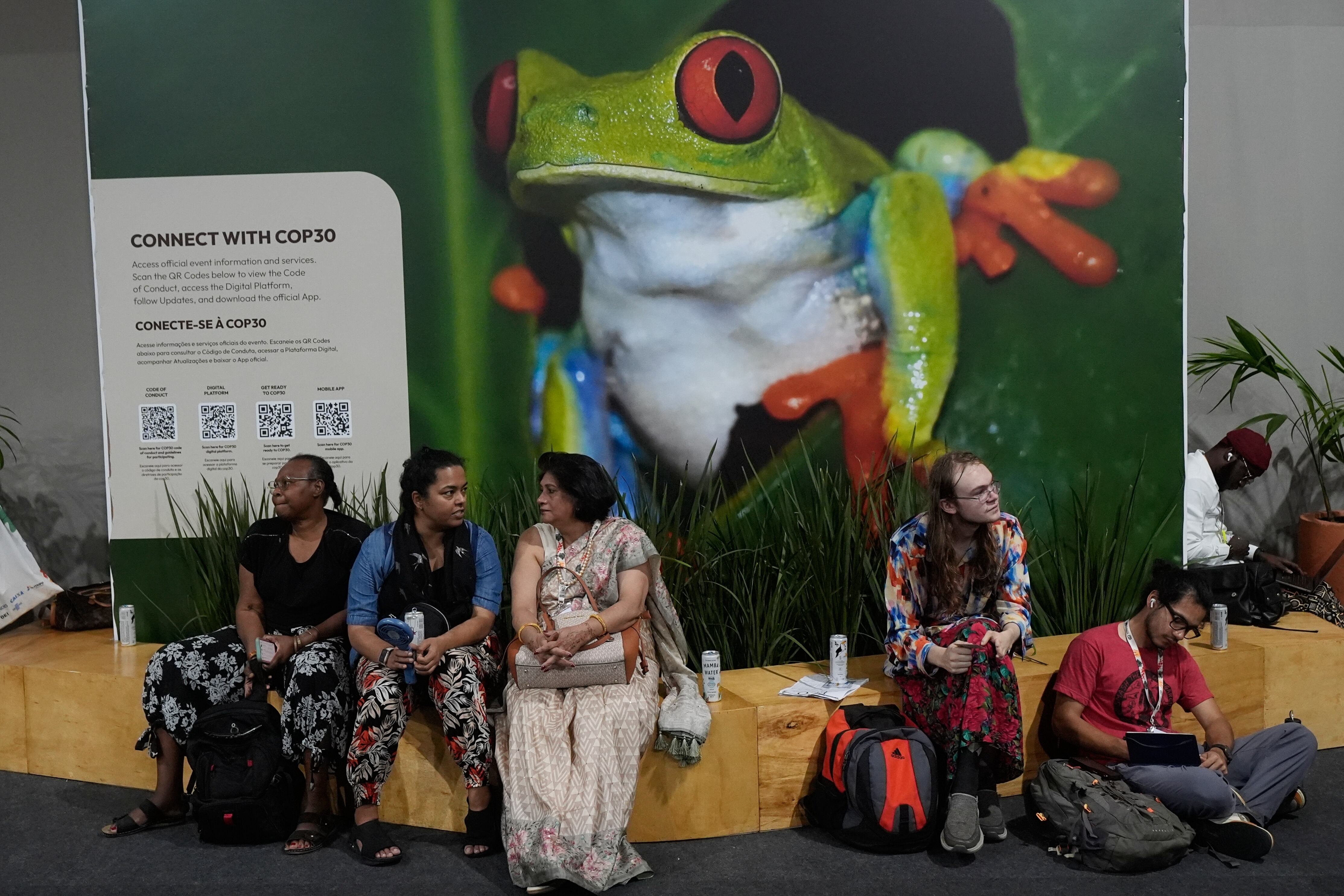 Asistentes descansan junto a una imagen de una rana durante las negociaciones en la Cumbre Climática COP30 de la ONU en Belém, Brasil. AP Photo/Fernando Llano