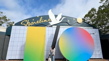 California somete a voto una