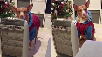 Ni bien se apagó el