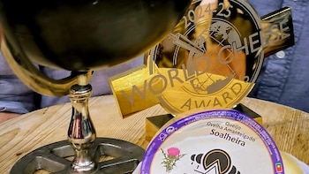 El queso ganador de la