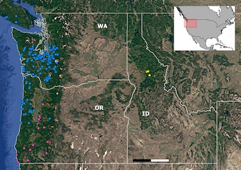 Mapa satelital del noroeste de Estados Unidos con marcas de colores en Washington, Oregón e Idaho, escala métrica y recuadro continental