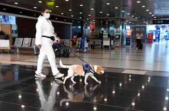 Todos los infectados que hayan