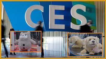 Los robots de compañía con