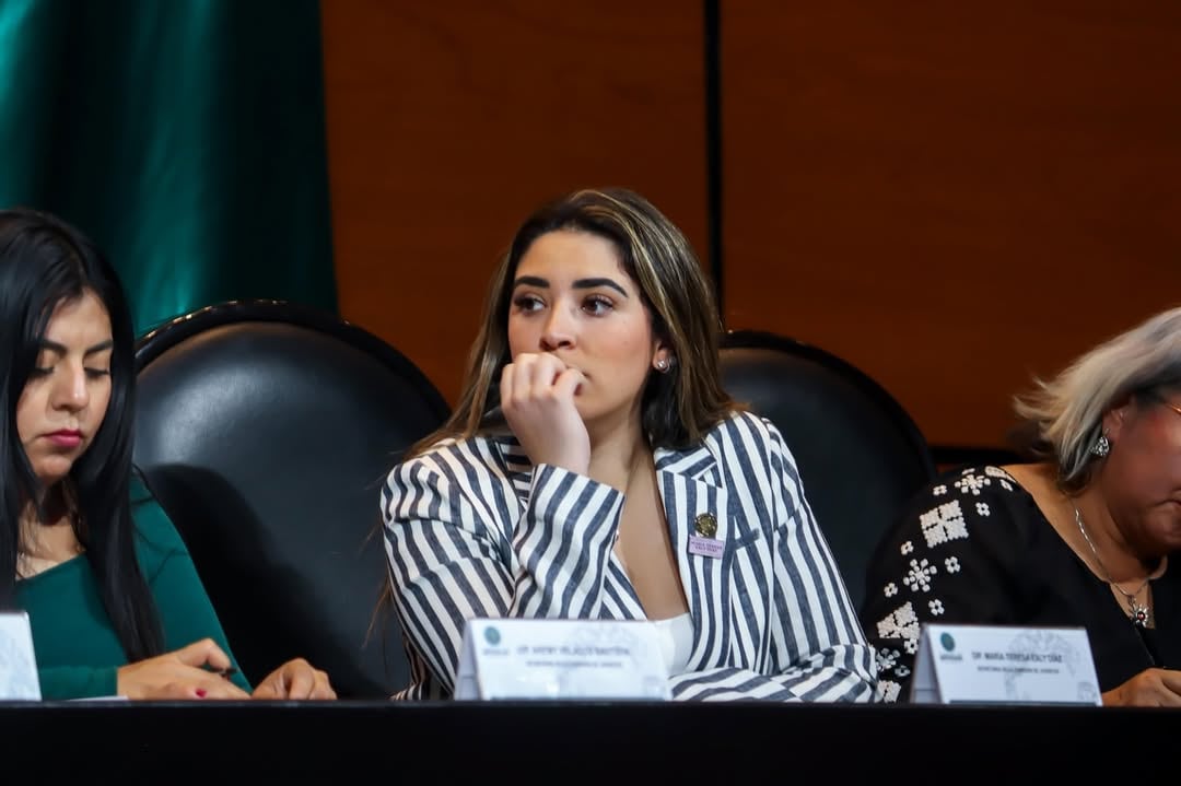 Tras recibir apoyo de Morena, la diputada agradeció por el respaldo firme y solidario ante las amenazas que recibió. Crédito: Instagram/@materesaealymx