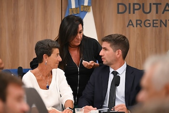 El martes retoman el debate para tratar Ficha Limpia, pero modificando el Código Penal
