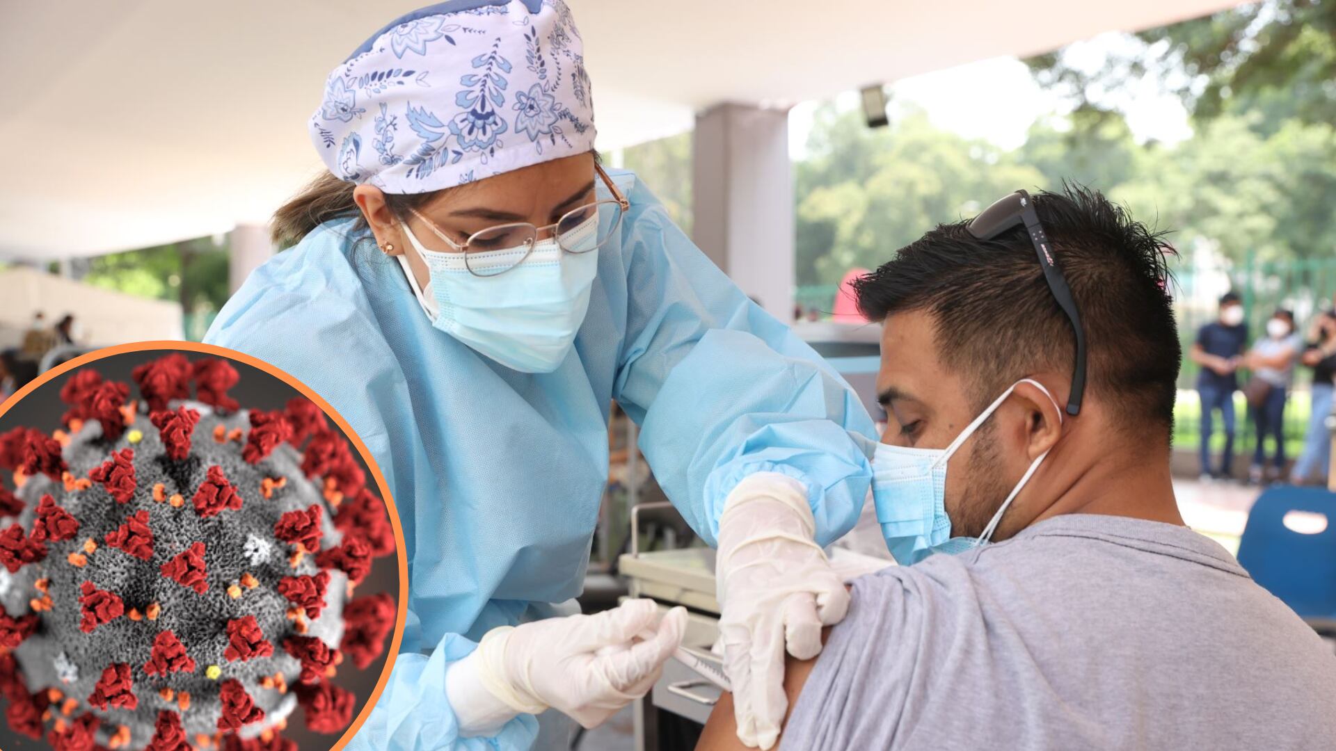 Las brigadas de vacunación estarán en el terminal Naranjal, estación Central y terminal Matellini. Fotos: Andina/Composición Infobae