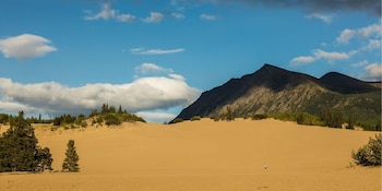 Carcross Desert está en el sur de Yukón, Canadá, cerca de la comunidad de Carcross, y ocupa unos 2,6 kilómetros cuadrados (Wikimedia Commons)