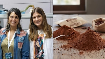 Las etiquetas no miden la calidad del cacao (Montaje Infobae, Universidad de Granada)