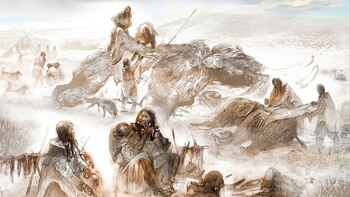 Nuevos descubrimientos sobre la dieta