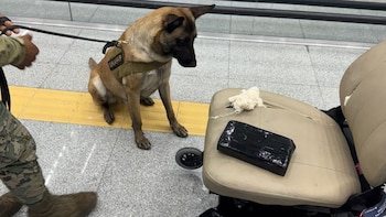 Cocaína en silla de ruedas: así cayó un pasajero en el AICM con casi 9 kilos de droga