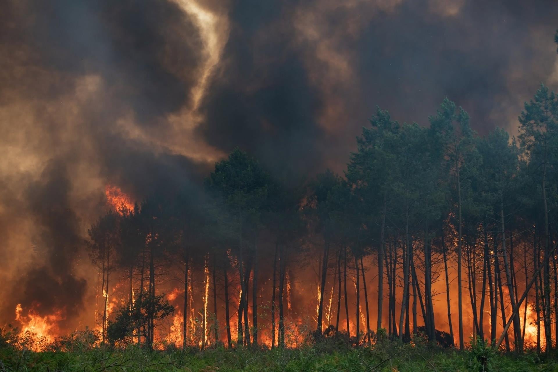 El incendio en la región francesa de Landas está "mejor contenido", pero no bajo control