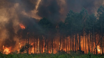 El incendio en la región francesa de Landas está "mejor contenido", pero no bajo control