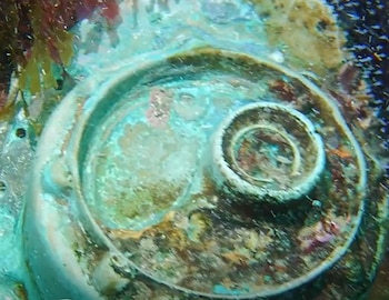 Foto histórica escotilla de personas