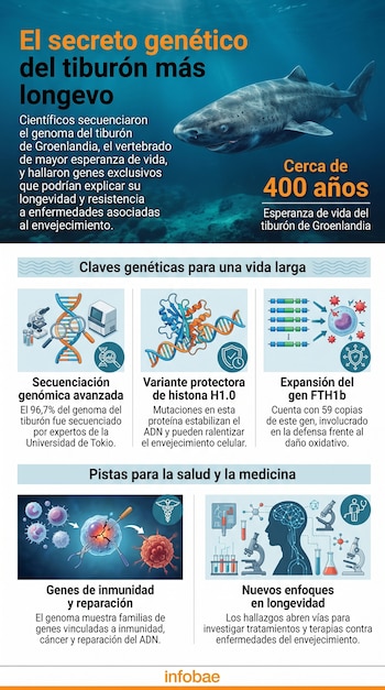 Infografía que presenta un tiburón de Groenlandia, junto a diagramas de ADN, estructuras moleculares, células, microscopios y tubos de ensayo.