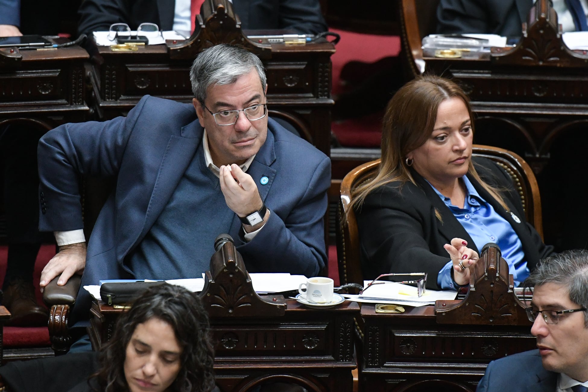 Germán Martínez y Cecilia Moreau del bloque de Unión por la Patria (RSFotos)