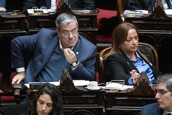 Sesión en Diputados - 20 de mayo