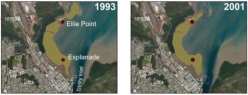 Las praderas marinas de Trinity Inlet en Australia recuperaron su extensión y biomasa tras las inundaciones y el ciclón Yasi (Gentileza, estudio Los cambios ocurridos durante varias décadas en una pradera de pastos marinos tropicales transforman las comunidades de peces juveniles, publicado en Estuarine, Coastal and Shelf Science)